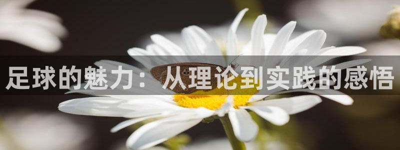 谈球吧体育官网：足球的魅力：从理论到实践的感悟
