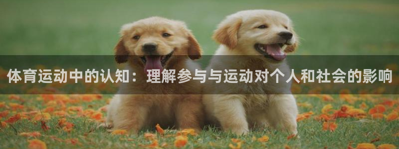 谈球吧体育官网：体育运动中的认知：理解参与与运动对个人和社会的影响