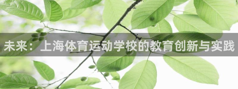 谈球吧：未来：上海体育运动学校的教育创新与实践