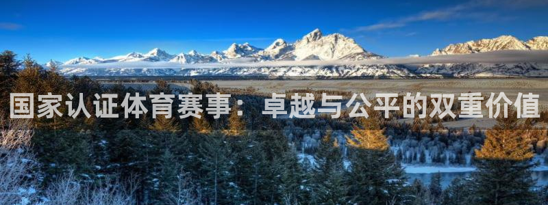 谈球吧：国家认证体育赛事：卓越与公平的双重价值