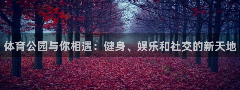 谈球吧体育官网：体育公园与你相遇：健身、娱乐和社交的新天地