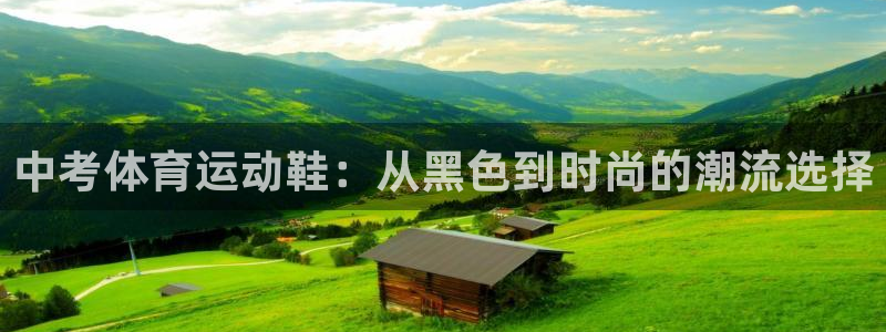 谈球吧：中考体育运动鞋：从黑色到时尚的潮流选择