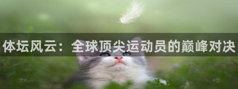 谈球吧：体坛风云：全球顶尖运动员的巅峰对决