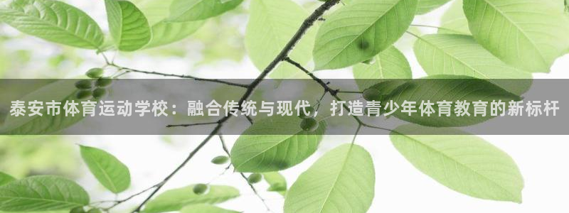 谈球吧体育官网：泰安市体育运动学校：融合传统与现代，打造青少年体育教育的新标杆
