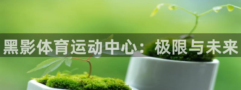 谈球吧体育：黑影体育运动中心：极限与未来