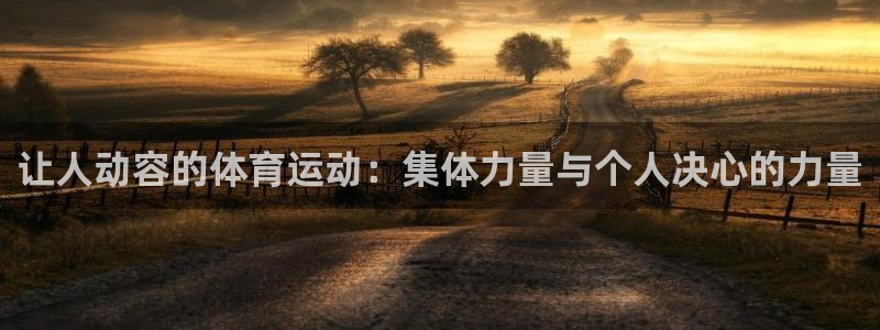 谈球吧：让人动容的体育运动：集体力量与个人决心的力量