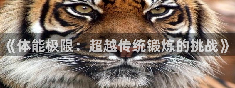 谈球吧：《体能极限：超越传统锻炼的挑战》