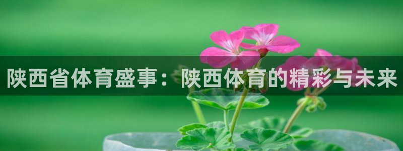 谈球吧：陕西省体育盛事：陕西体育的精彩与未来