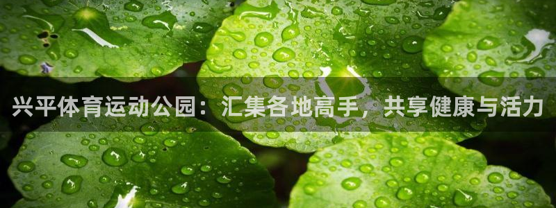谈球吧体育官网：兴平体育运动公园：汇集各地高手，共享健康与活力