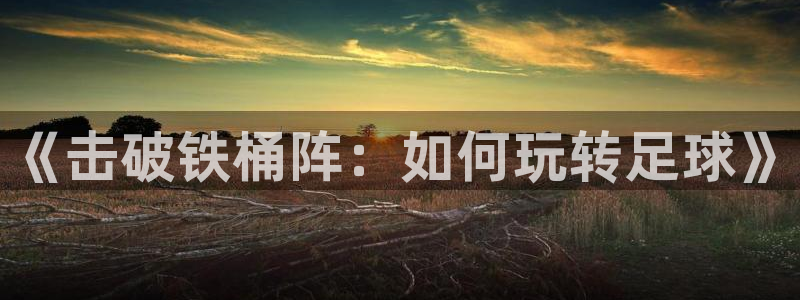 谈球吧：《击破铁桶阵：如何玩转足球》