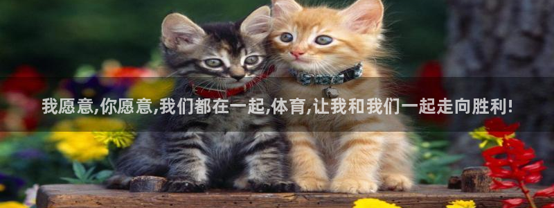 谈球吧体育官网：我愿意,你愿意,我们都在一起,体育,让我和我们一起走向胜利!
