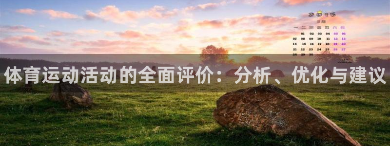 谈球吧：体育运动活动的全面评价：分析、优化与建议