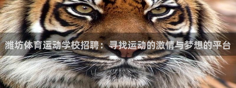谈球吧：潍坊体育运动学校招聘：寻找运动的激情与梦想的平台