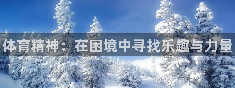 谈球吧：体育精神：在困境中寻找乐趣与力量