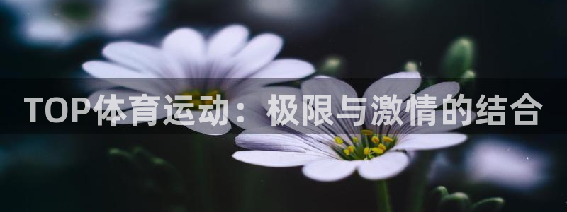 谈球吧体育官网：TOP体育运动：极限与激情的结合