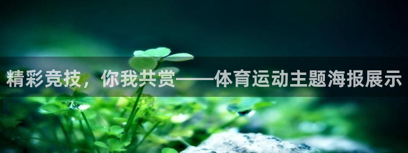 谈球吧体育官网：精彩竞技，你我共赏——体育运动主题海报展示