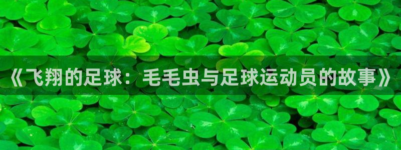 谈球吧：《飞翔的足球：毛毛虫与足球运动员的故事》