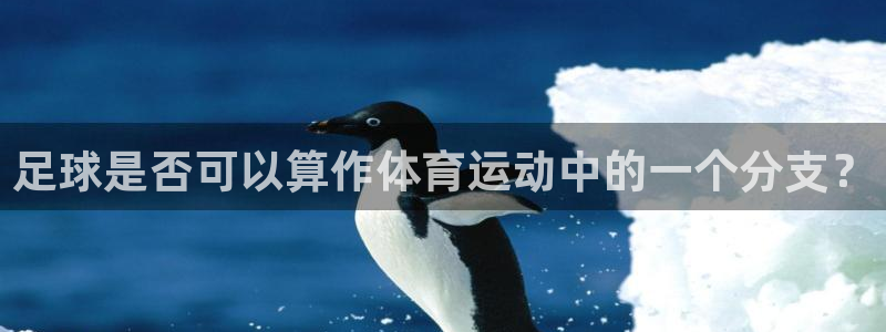 谈球吧体育官网：足球是否可以算作体育运动中的一个分支？