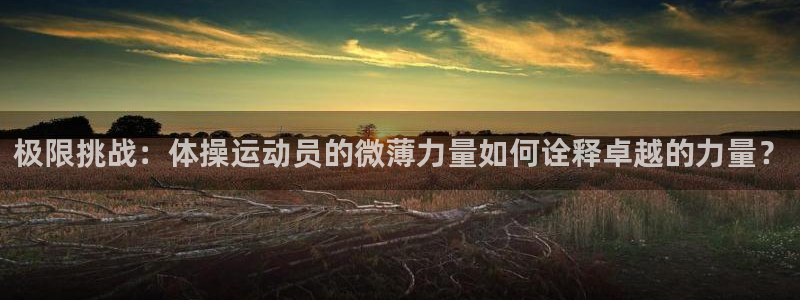 谈球吧：极限挑战：体操运动员的微薄力量如何诠释卓越的力量？