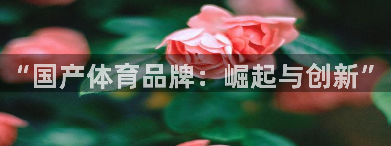 谈球吧：“国产体育品牌：崛起与创新”