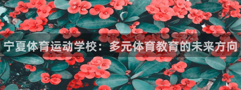 谈球吧：宁夏体育运动学校：多元体育教育的未来方向