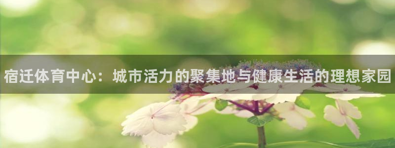 谈球吧：宿迁体育中心：城市活力的聚集地与健康生活的理想家园