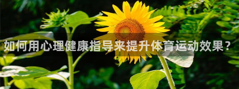 谈球吧：如何用心理健康指导来提升体育运动效果？