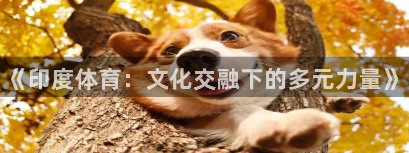 谈球吧体育：《印度体育：文化交融下的多元力量》