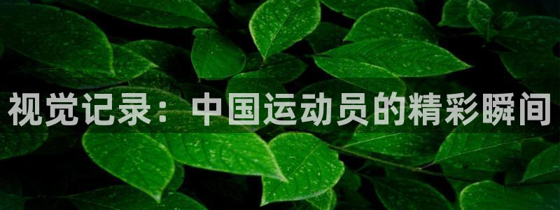 谈球吧体育官网：视觉记录：中国运动员的精彩瞬间