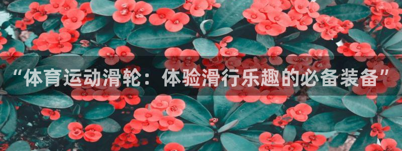 谈球吧：“体育运动滑轮：体验滑行乐趣的必备装备”