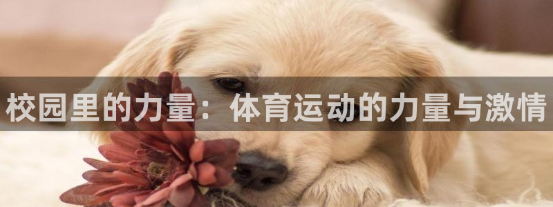 谈球吧体育：校园里的力量：体育运动的力量与激情