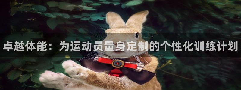 谈球吧体育：卓越体能：为运动员量身定制的个性化训练计划