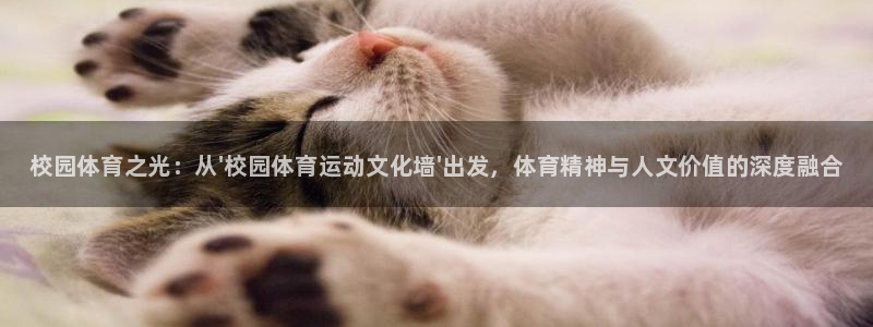 谈球吧体育：校园体育之光：从\'校园体育运动文化墙\'出发，体育精神与人文价值的深度融合