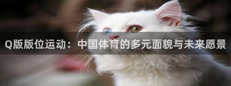 谈球吧体育官网：Q版版位运动：中国体育的多元面貌与未来愿景