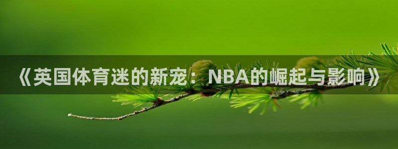 谈球吧：《英国体育迷的新宠：NBA的崛起与影响》