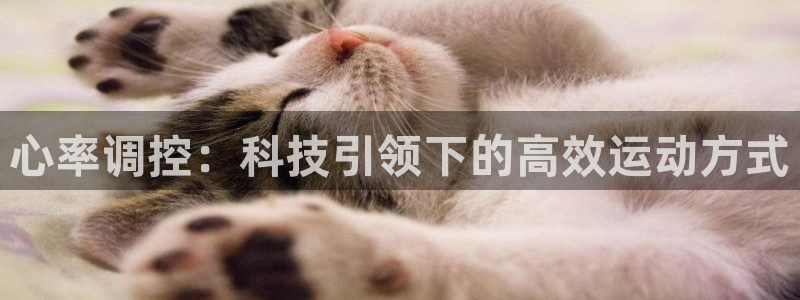 谈球吧体育官网：心率调控：科技引领下的高效运动方式