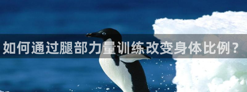 谈球吧体育：如何通过腿部力量训练改变身体比例？