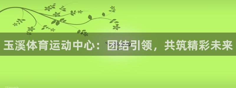 谈球吧：玉溪体育运动中心：团结引领，共筑精彩未来