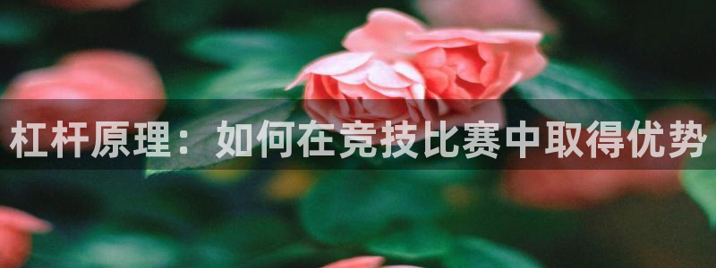 谈球吧：杠杆原理：如何在竞技比赛中取得优势