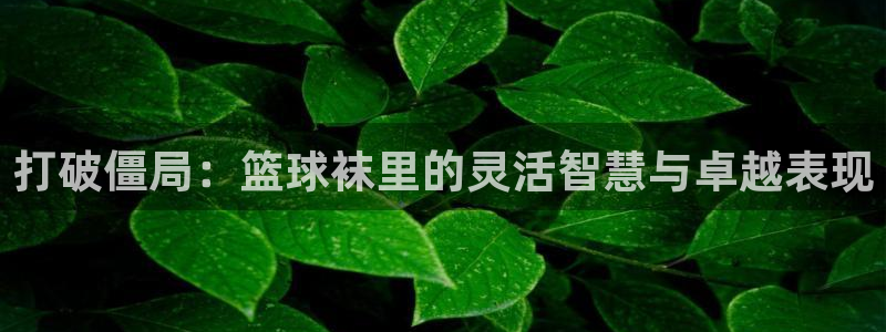 谈球吧体育官网：打破僵局：篮球袜里的灵活智慧与卓越表现