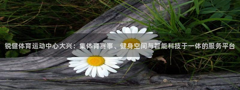 谈球吧体育官网：锐健体育运动中心大兴：集体育赛事、健身空间与智能科技于一体的服务平台